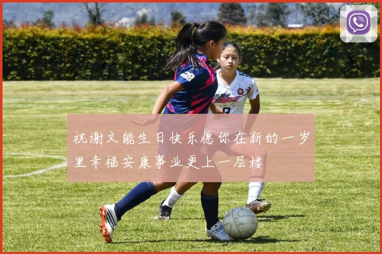 祝谢文能生日快乐愿你在新的一岁里幸福安康事业更上一层楼